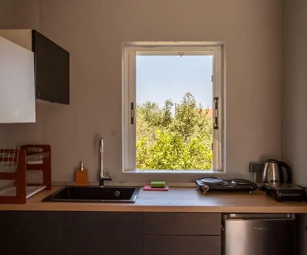 Galatea Кипсели